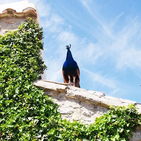 Torre Gargallo