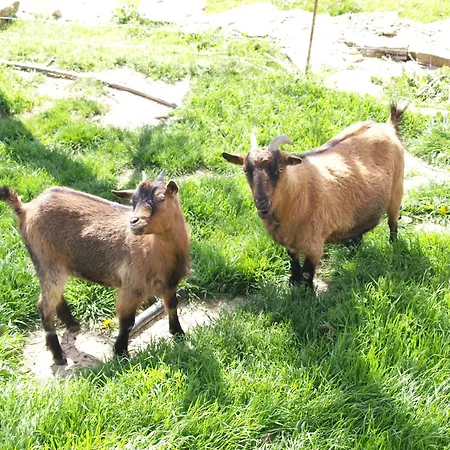 Casa de Campo Torre Gargallo